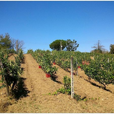 Agriturismo San Giusto Montiano  Ngoại thất bức ảnh
