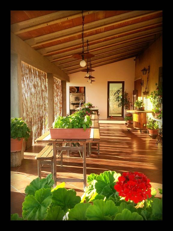 Agriturismo San Giusto Montiano  Ngoại thất bức ảnh
