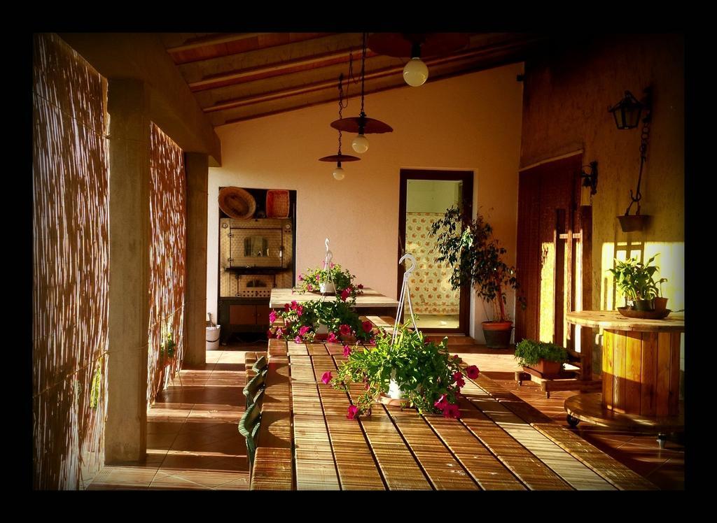 Agriturismo San Giusto Montiano  Ngoại thất bức ảnh