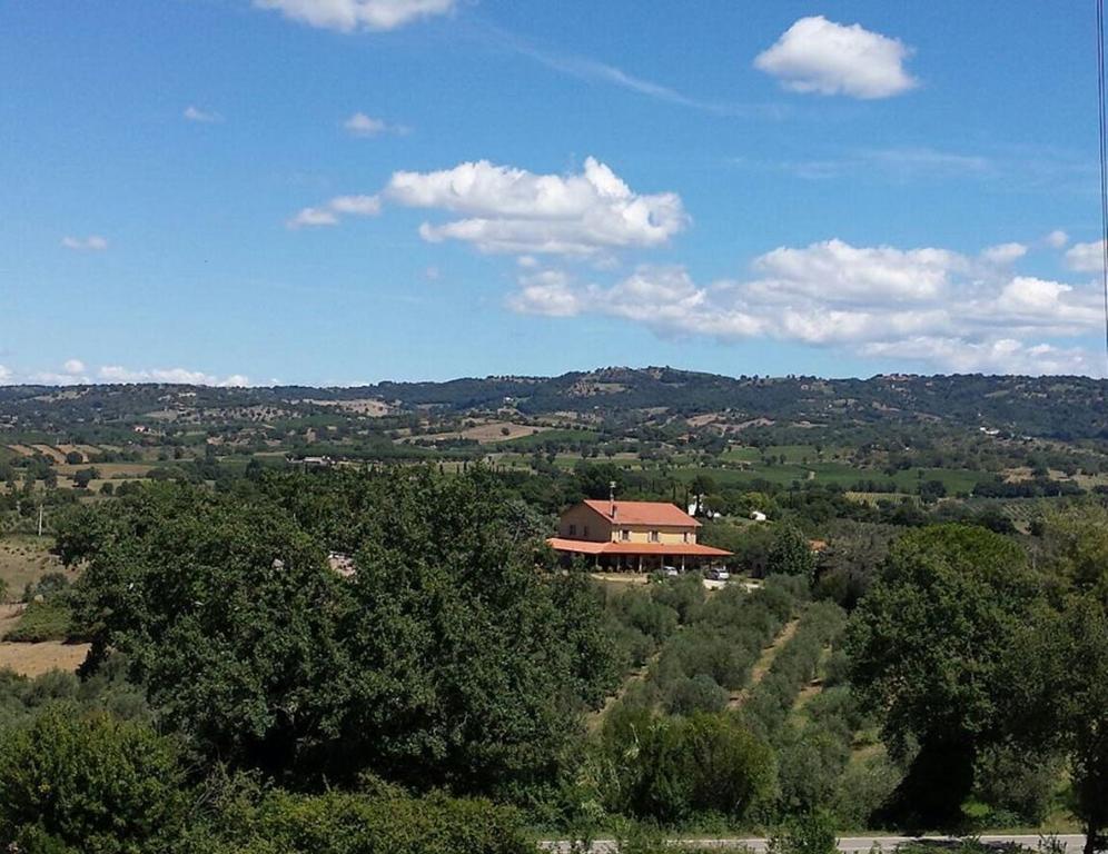 Agriturismo San Giusto Montiano  Ngoại thất bức ảnh