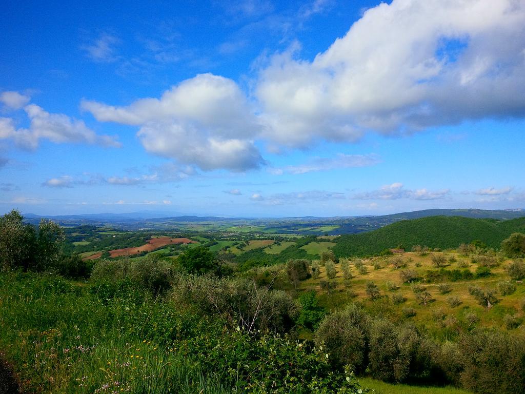 Agriturismo San Giusto Montiano  Ngoại thất bức ảnh