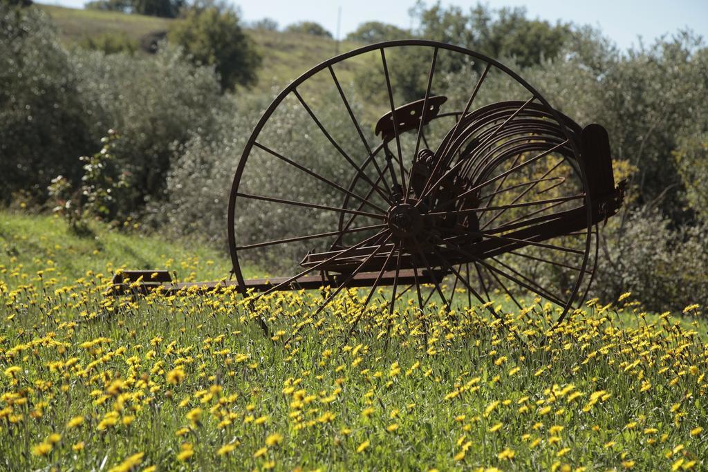 Agriturismo San Giusto Montiano  Ngoại thất bức ảnh